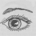 Xem tướng mắt chọn người yêu lý tưởng