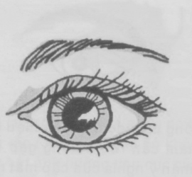 Lựa chọn mẫu người yêu lý tưởng của 12 chòm sao