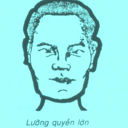 Cách xem tướng số trên khuôn mặt