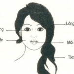 Xem tướng phụ nữ đa dâm và sát chồng