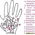 Xem tay đoán vận mệnh tương lai