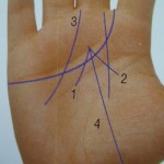 Xem tướng đoán tài năng qua đường chỉ tay Thái Dương