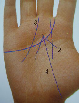 Coi tướng đoán tài năng qua đường chỉ tay thái dương