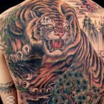 Ý nghĩa hình xăm hổ, báo, sư tử