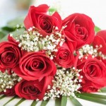 Mơ thấy hoa có điềm báo gì?