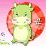 Người sinh năm Sửu, cầm tinh con Trâu