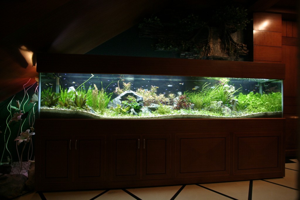 Mot-so-dieu-cam-ky-trong-thiet-ke-nha-theo-phong-thuy-04