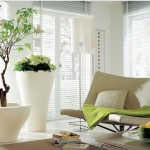 Tầm quan trọng của hoa, cây cảnh trong phòng khách