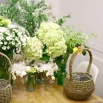 Nằm mơ thấy hoa điềm báo gì?