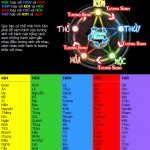 Quan niệm và vai trò của tên họ