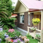 Chọn loại cây gì để trồng trong sân vườn?