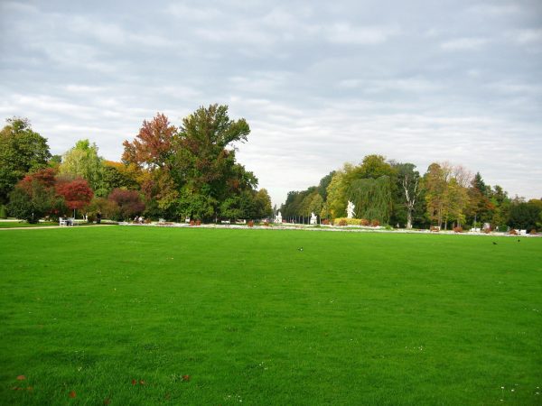 Mơ thấy bãi cỏ dày