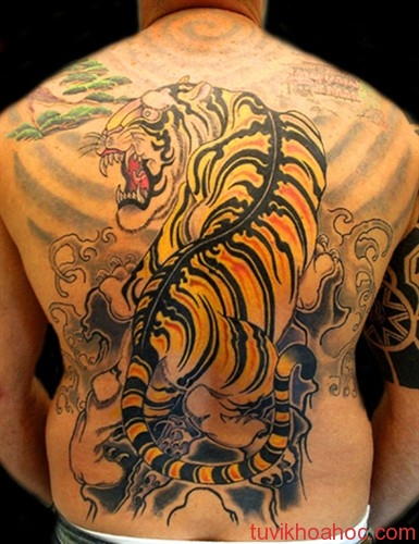 Tuổi Ngọ nên xăm hình gì?