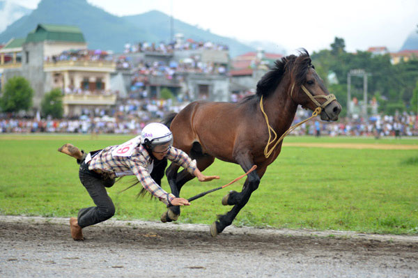 Mơ thấy ngã ngựa