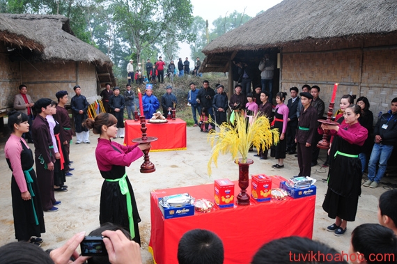 mualehoi18022014104648