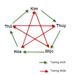 Các quy định vận dụng âm dương ngũ hành vào số biểu lý