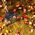 Mơ thấy chổi quét mang ý nghĩa gì?