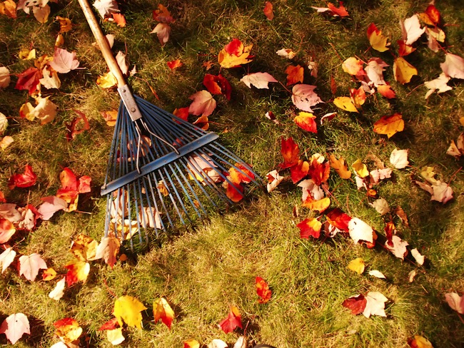 Giải mã giấc mơ thấy chổi