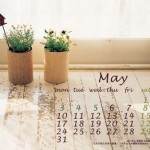 Xem tử vi người sinh tháng năm năm Tý