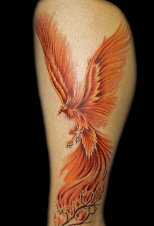 Hình xăm chim phượng hoàng ở bắp chân