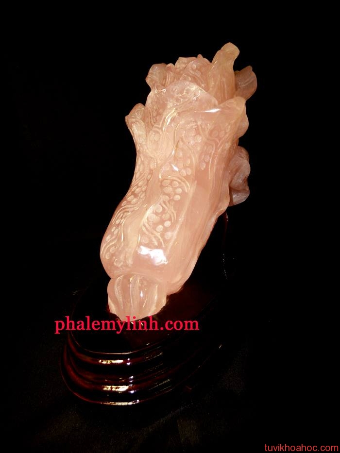 1173642_409013365887606_373802749_n