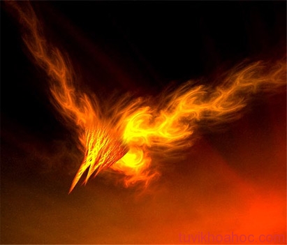 1274923610-chim-choc-1