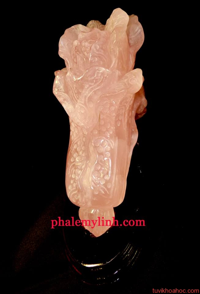 1379670_409013375887605_1809779539_n