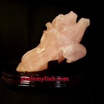 Ý nghĩa phong thủy bắp cải