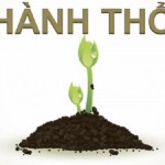 Phong thủy cho người mệnh Thổ