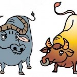 Người tuổi Sửu với các năm