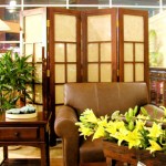 Mật pháp phong thủy của các vật làm bình phong