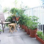 Cây trồng thích hợp với ban công theo phong thủy