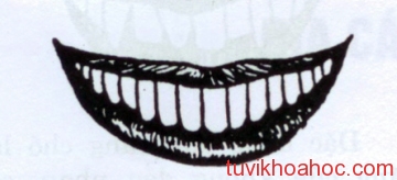 coi_boi_voi_ham_rang_hat_luu