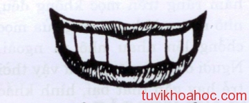 coi_boi_voi_ham_rang_ho