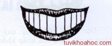 coi_boi_voi_ham_rang_rong