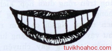 coi_boi_voi_ham_rang_trau