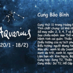 Cung hoàng đạo bảo bình