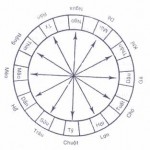 Địa chi lục xung, địa chi lục hợp