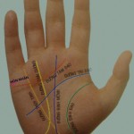 Tướng số của các đường chỉ tay