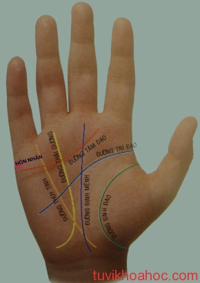 images727171_duongchitay1