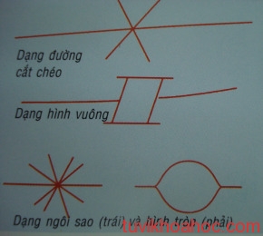 images727174_duongchitay4