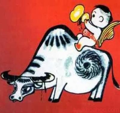 kham-pha-tuoi-suu-nam-201431401946730