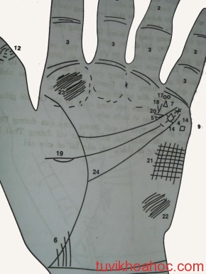 Tướng người kinh doanh qua bàn tay