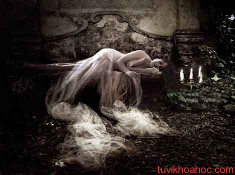 ktt_acmong5_kienthuc