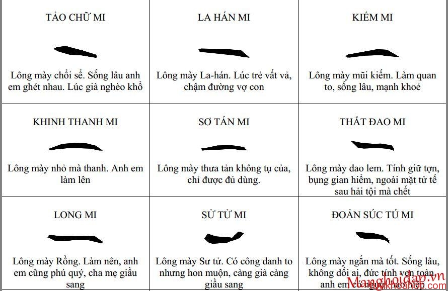 Chân mày tướng quan, tướng lông mày đàn ông