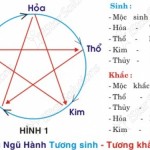 Cách tra cứu xem mệnh và cung