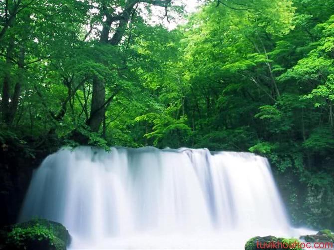 thoa-y-nguyen-nho-treo-tranh-theo-phong-thuy