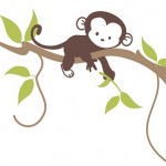 Người tuổi Thân với tháng sinh