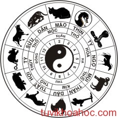 xem phong thuy 12 con giap
