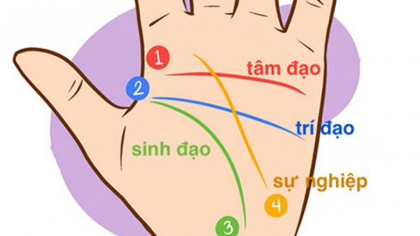 Cách xem chỉ tay biết tướng số, vận mệnh tử vi
